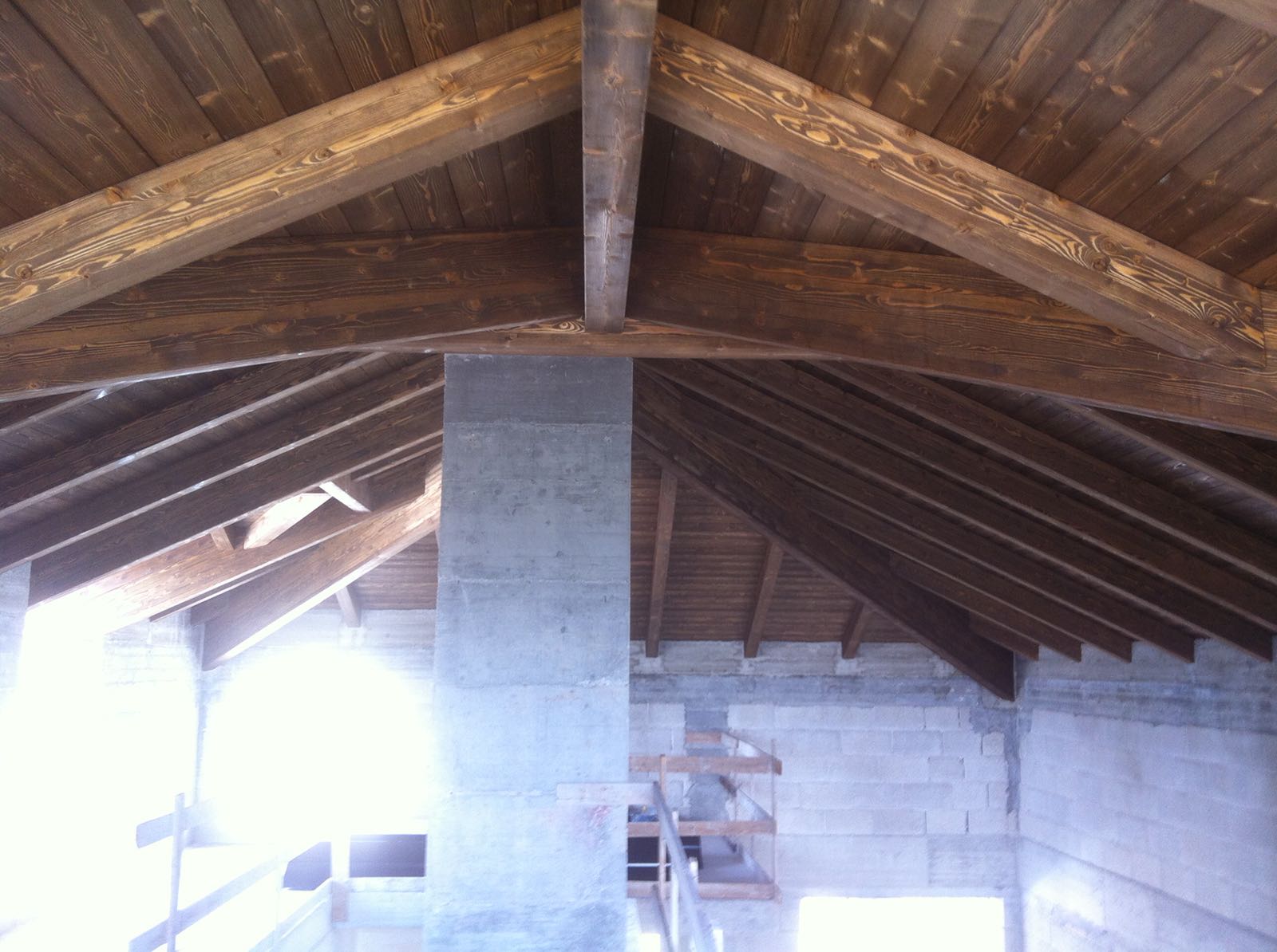 Servizio professionale